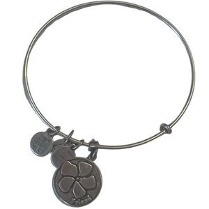 Alex and Ani Friend Silver Charm Bangle Bracelet